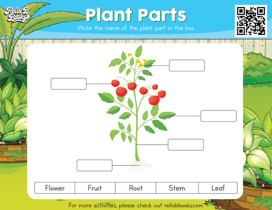 Tree Activity Sheet